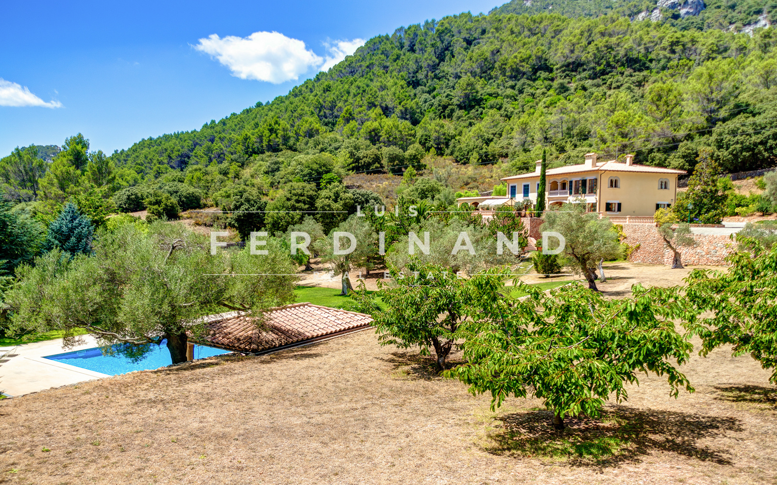 Luis Ferdinand RE13 (1) (1)