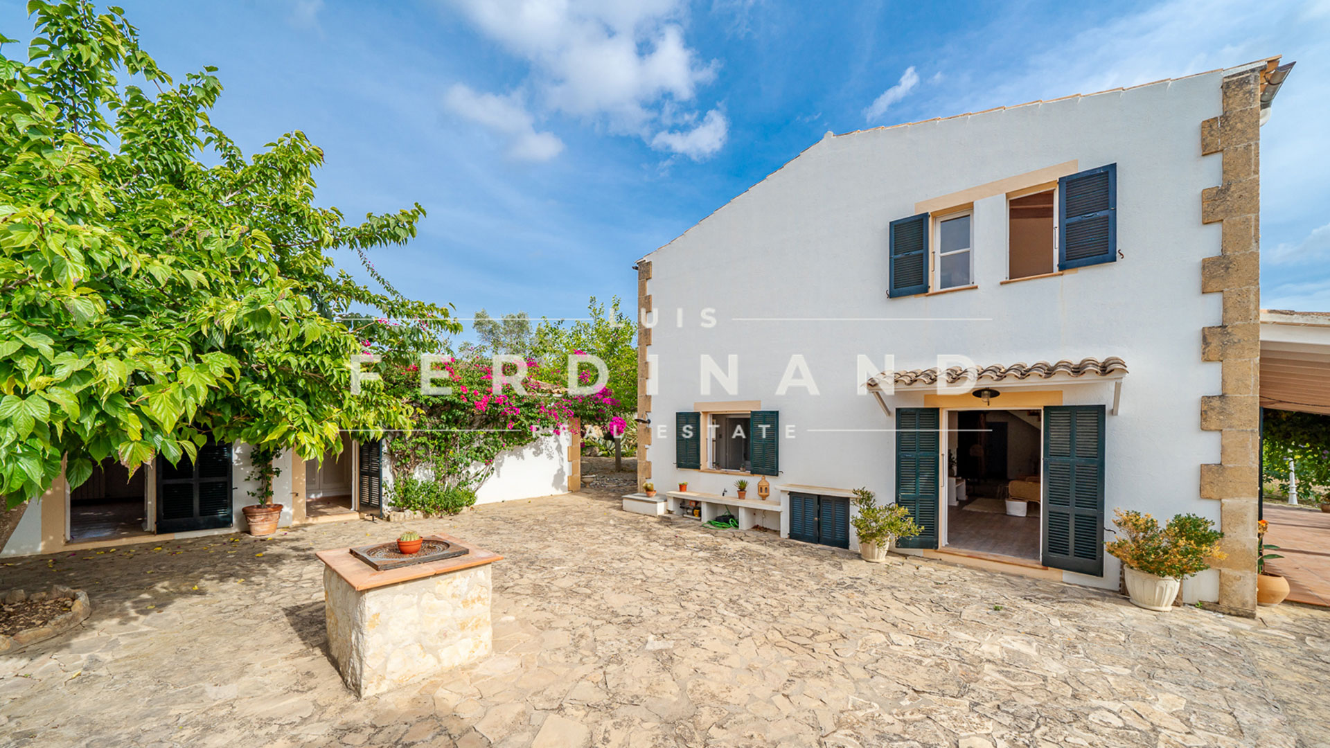 1_Luis-Ferdinand-RE11-(2)