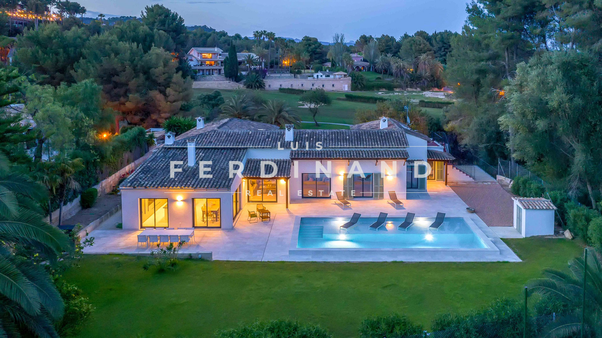 1_Luis-Ferdinand-RE2-(5)