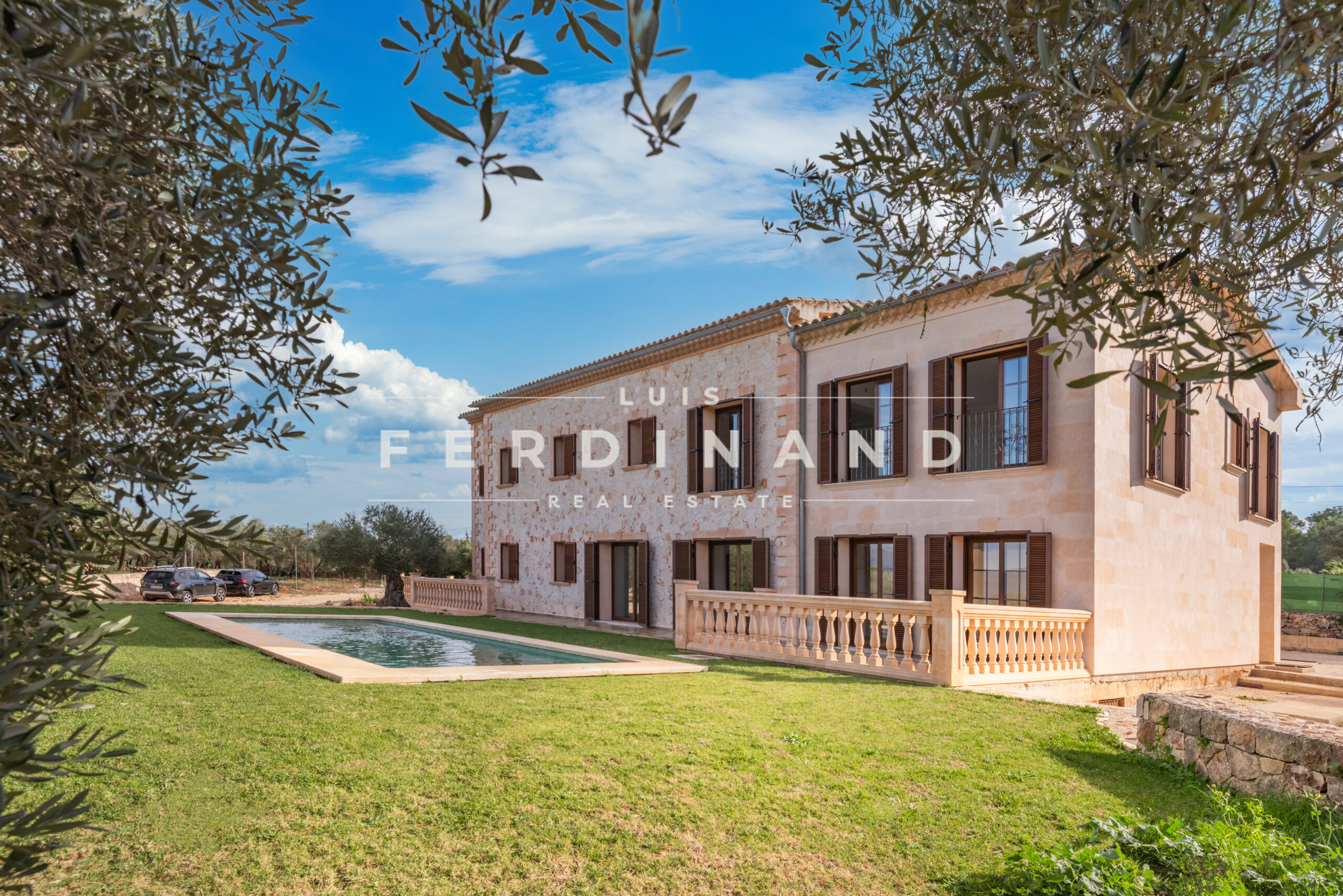 Luis Ferdinand RE2 (10)