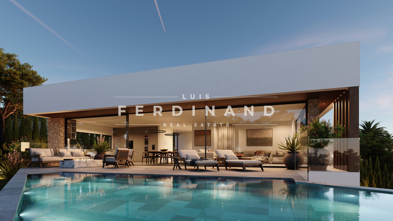 Luis Ferdinand RE6 (2)